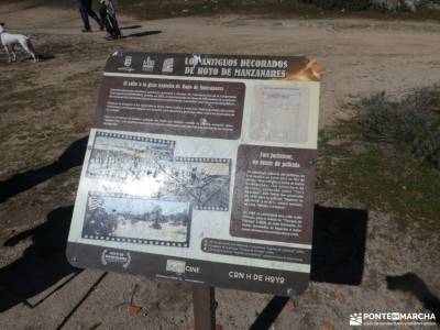 El Picazo y El Estepar - Caminos de Hoyo de Manzanares; los tejos pico de la miel fotos de segovia s